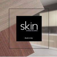 Каталог Skin